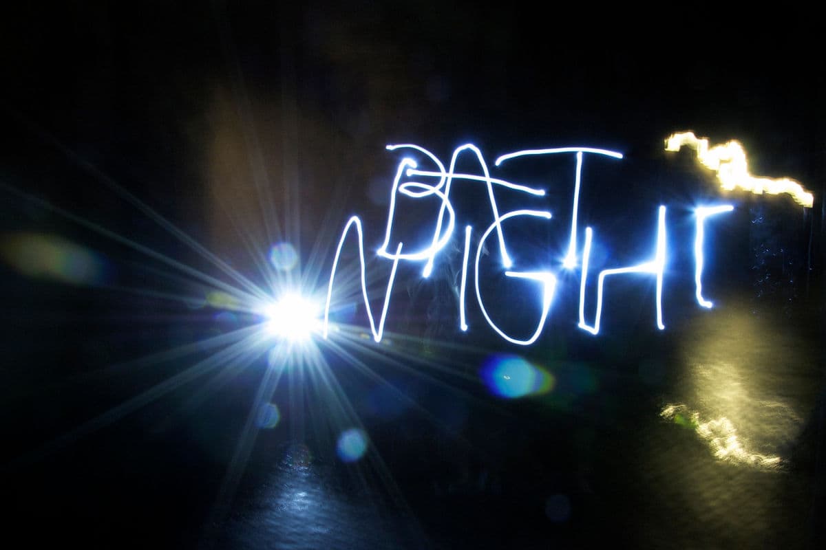 Fledermausnacht in der Zitadelle